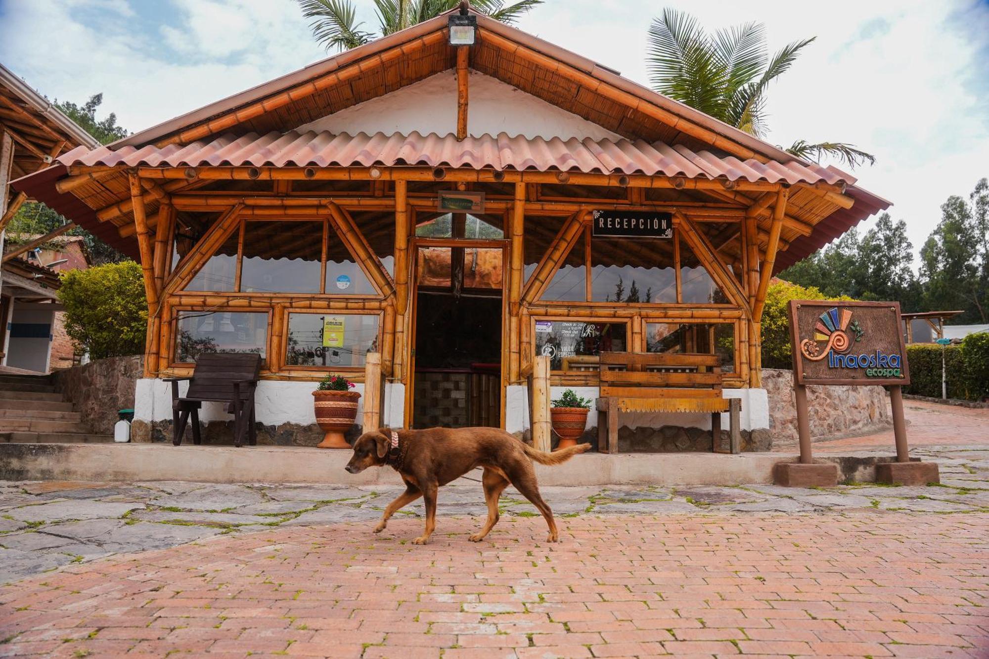 Hotel Campestre Inaoska Ecospa Нобса Экстерьер фото